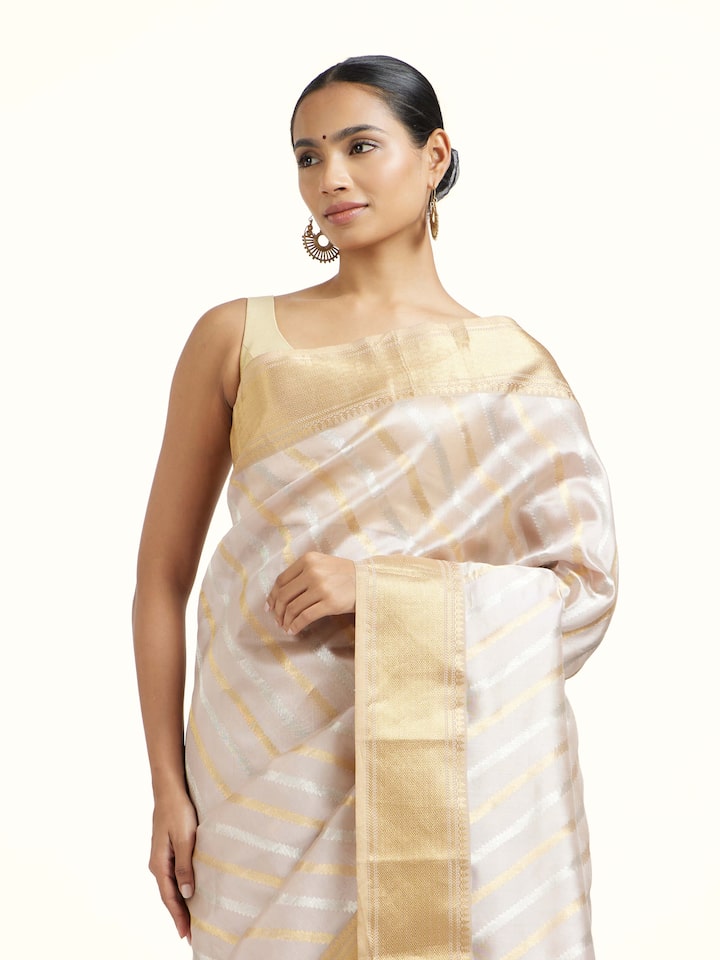 Angled view of the Grey Cotton Silk Chanderi Handloom Pattu Saree