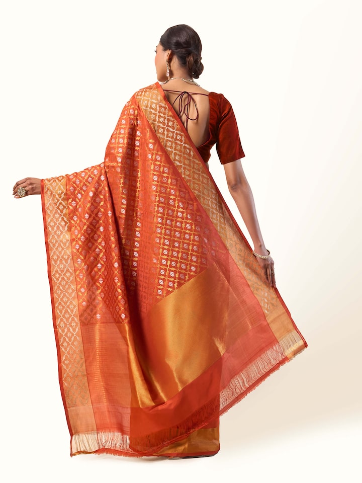 Back view of Uppada Jamdani saree showing pallu fall and pleated drape