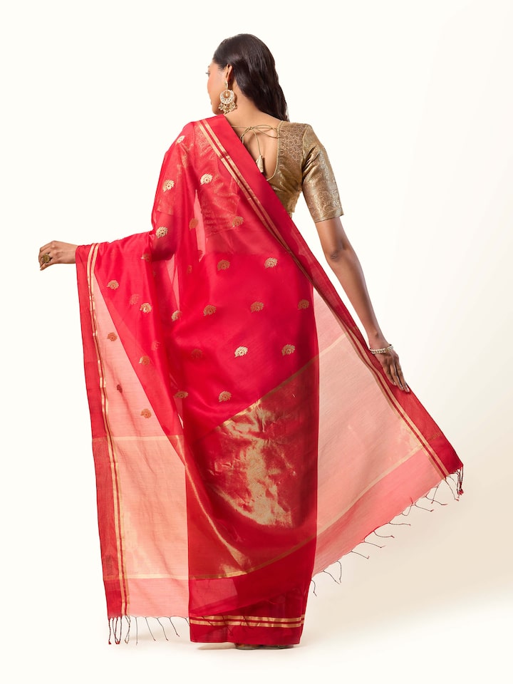 Back view displaying the pallu and minimal woven border.