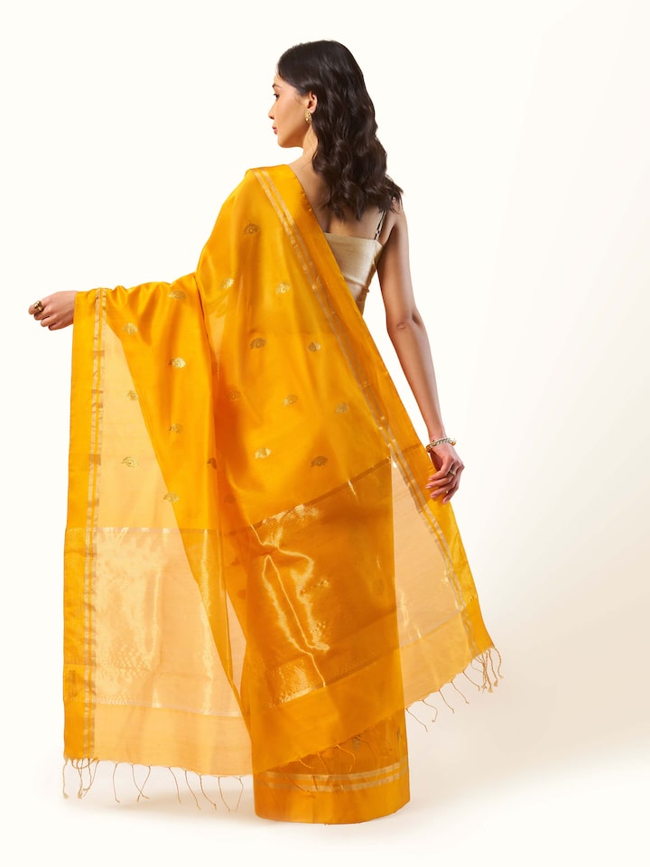 Back view of mango mulberry silk cotton Chanderi saree with pleated pallu and border