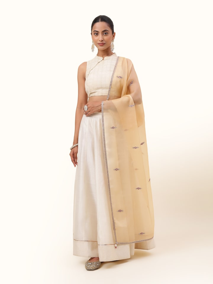 Front view of beige Zardozi embroidered dupatta with shimmering golden accents and fine detailing.