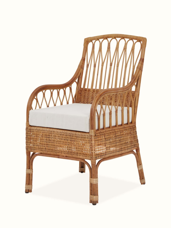 Close-up view of the upholstered cane study chair, focusing on the detailed cane weave and upholstery texture.