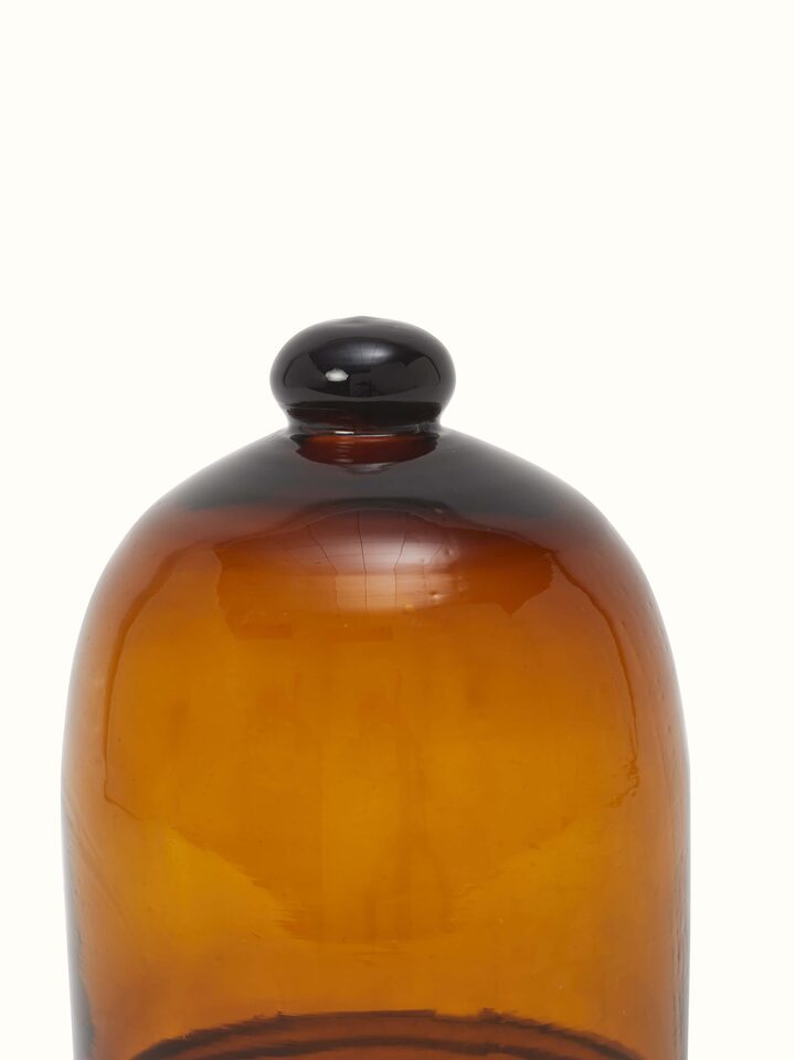 Angled view of Glass Cloche, focusing on the clarity and design of the glass cover