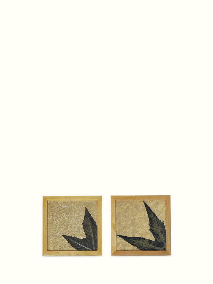 Full view of Auroville Handmade Paper Chinar Coasters, showcasing the intricate chinar leaf design (2 pcs)