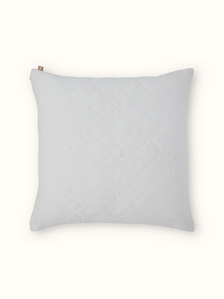 Close-up of Shivranjini Ivory Textured Cotton Razai Embroidered Euro Shams (2 pcs) highlighting the embroidery pattern and fabric texture