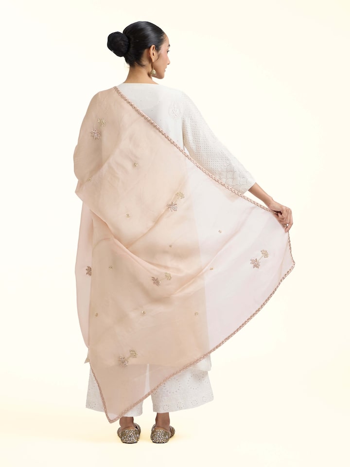 Back view of Beige Zardozi Hand Embroidered Dupatta emphasizing the overall design and fine details