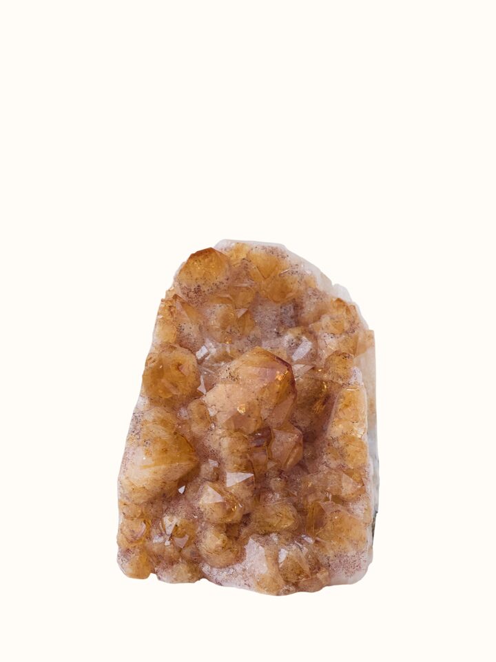 Close-up of the Mahog Mahogany Soya Wax Tablet (2 Pcs)